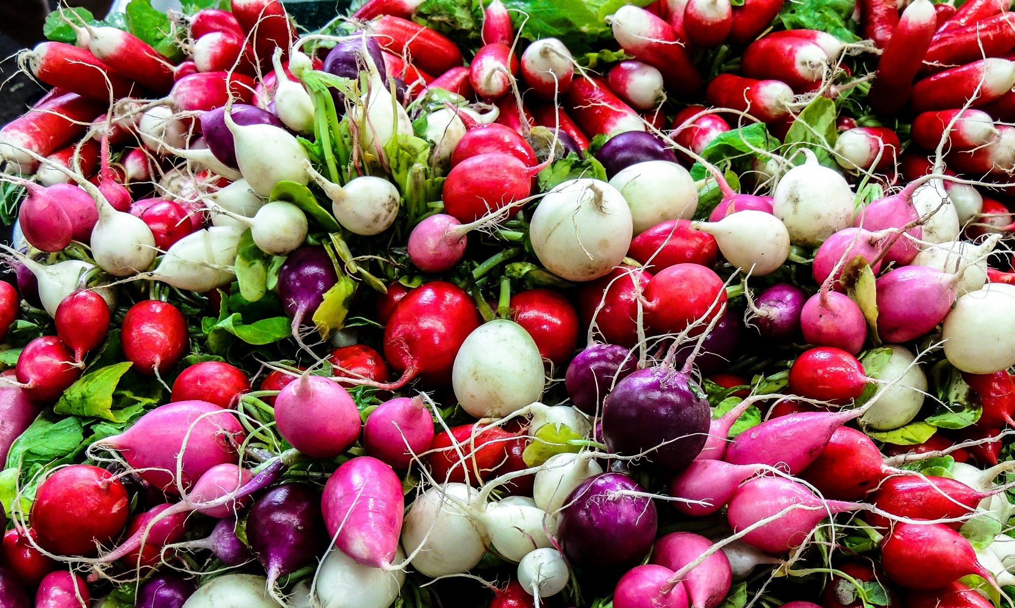 photo of root vegetables by philippe collard on unsplash